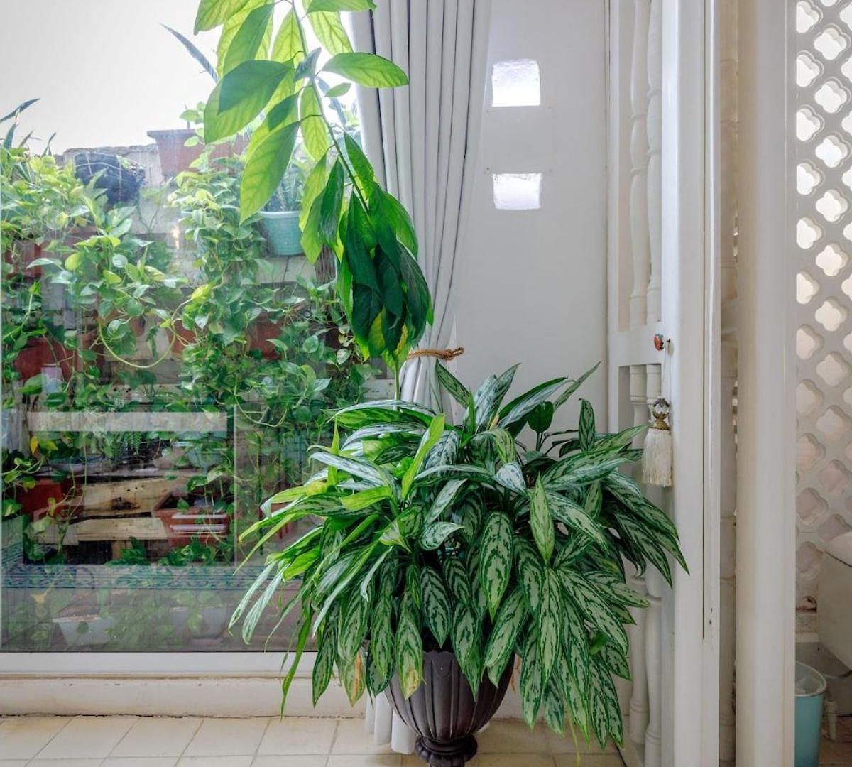 Apartamento Magnifico En La Ciudad Amurallada Cartagena